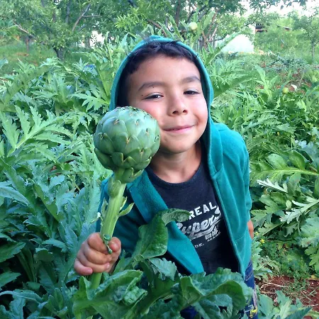 Pensionat Eco-art Farm Kaş